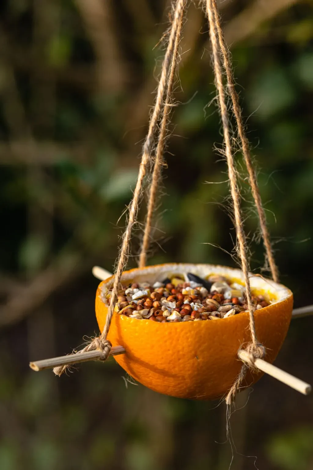 diy orange bird feeder