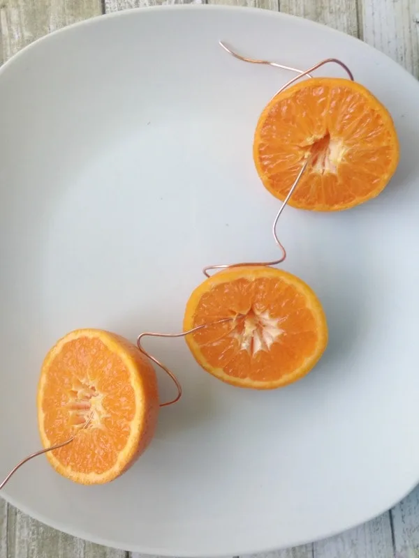 easy oriole feeder