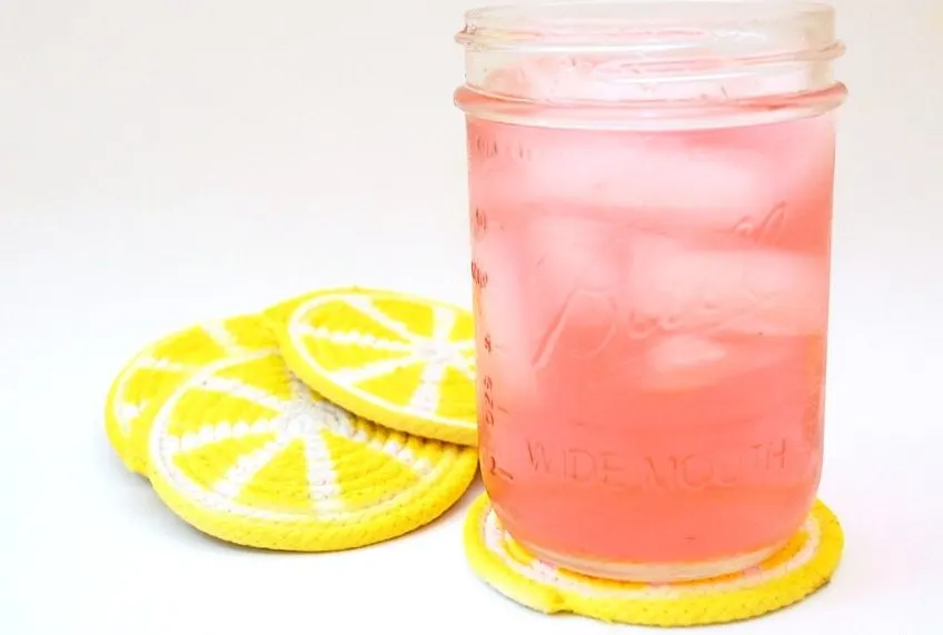 lemon slice coaster diy