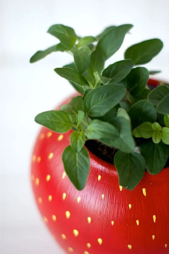 diy strawberry plant pot