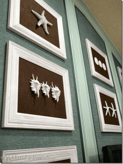 seashells wall gallery diy