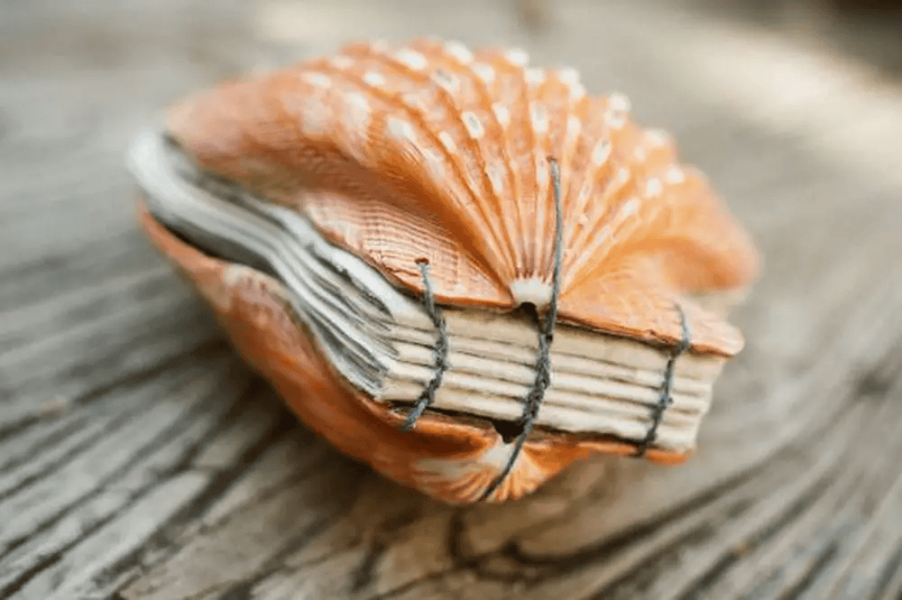 diy seashell book