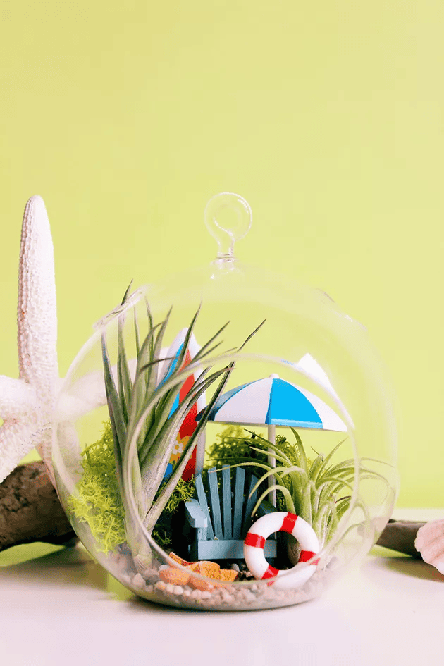 diy beach terrarium