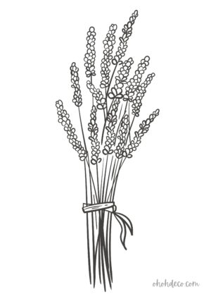 lavender coloring page