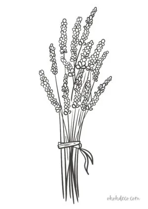lavender coloring page
