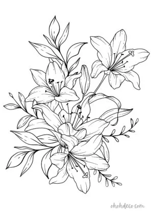 lily coloring page 1