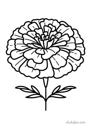 marigold coloring page