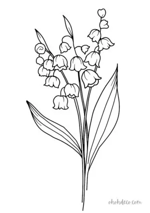 muguet coloring