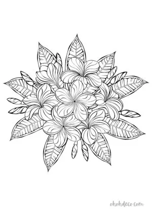 plumeria coloring page
