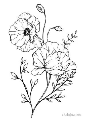 poppy coloring page