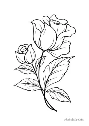 rose coloring page