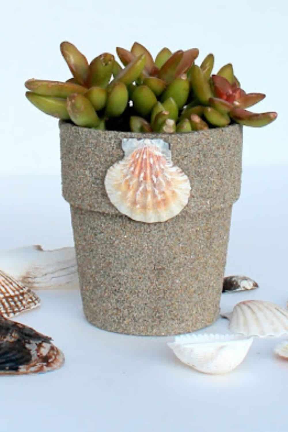 sand planter diy