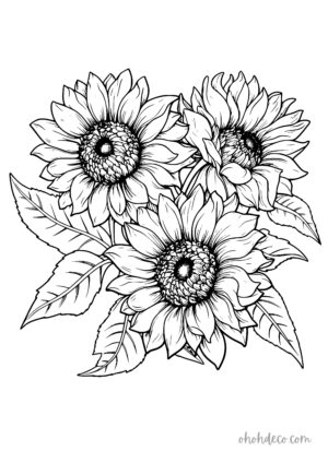 sunflower coloring page