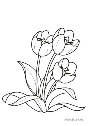 tulip coloring page