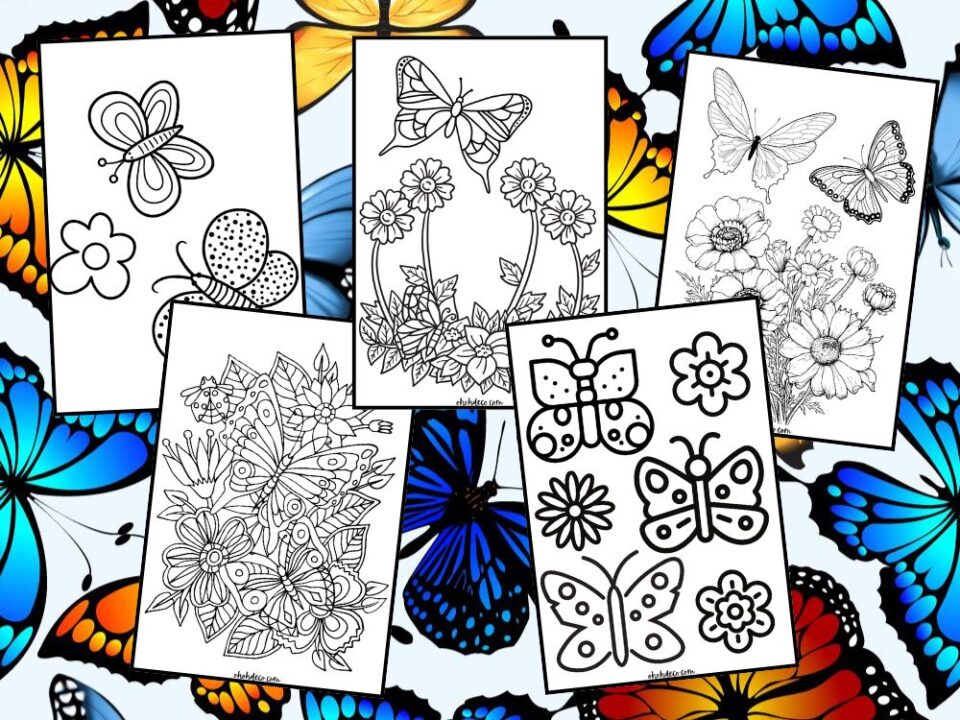 Butterfly Coloring Pages: 80 free PDF for Kids and Adults