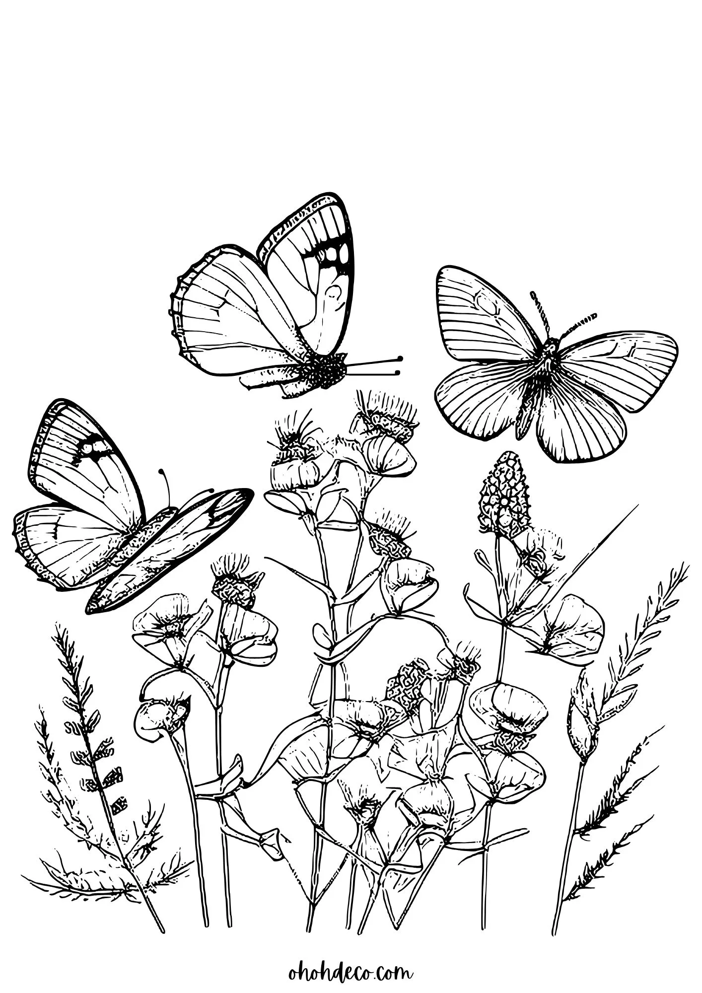 butterfly flowers coloring pages