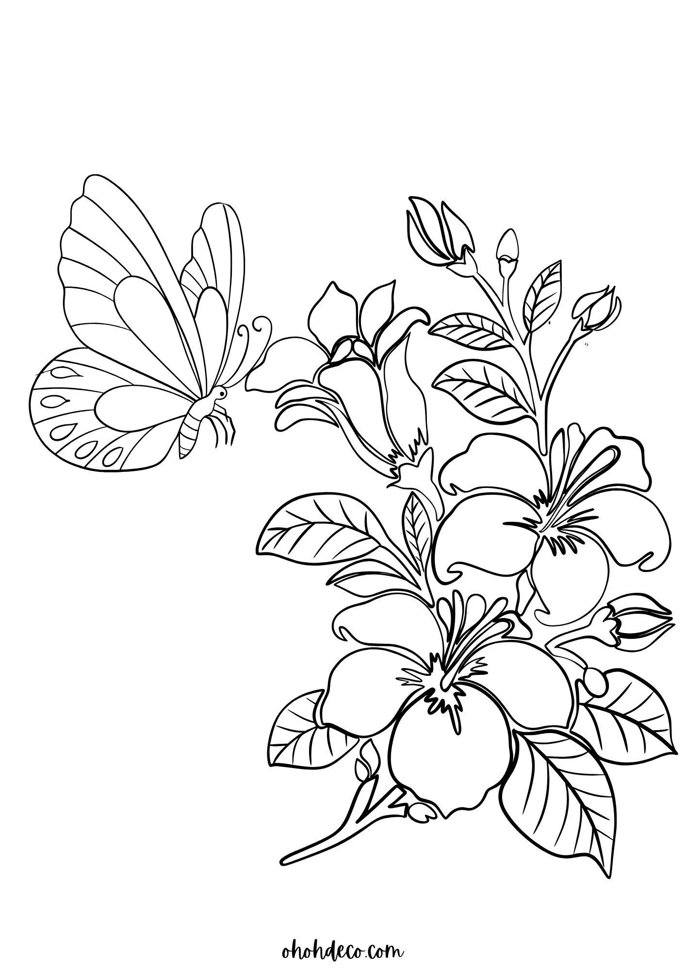 printable color sheet