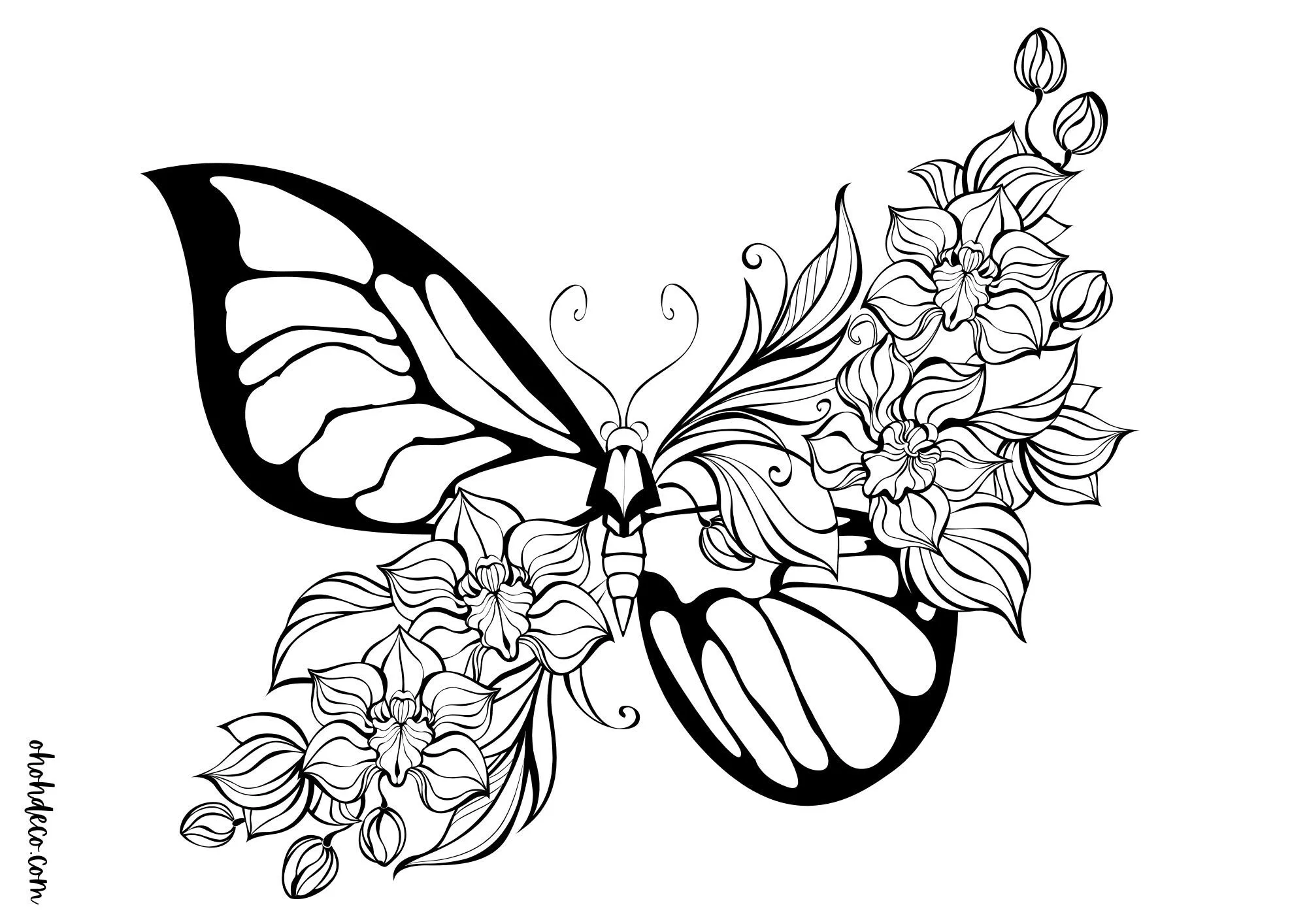 free coloring page