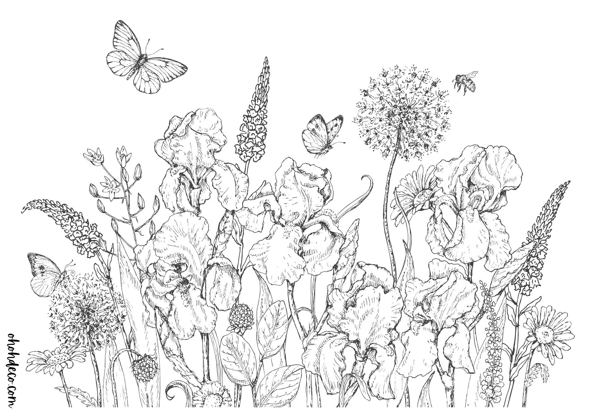free coloring page