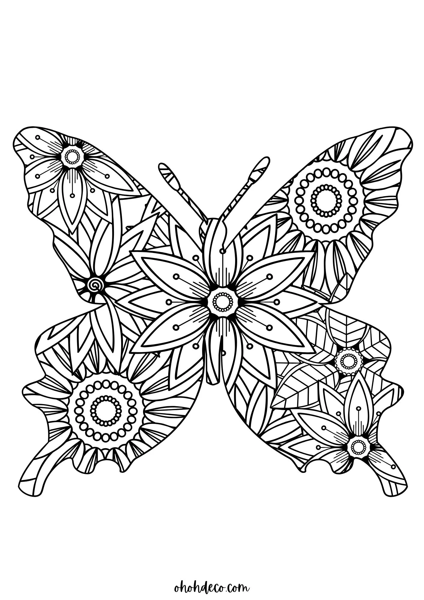 mandala color page butterfly