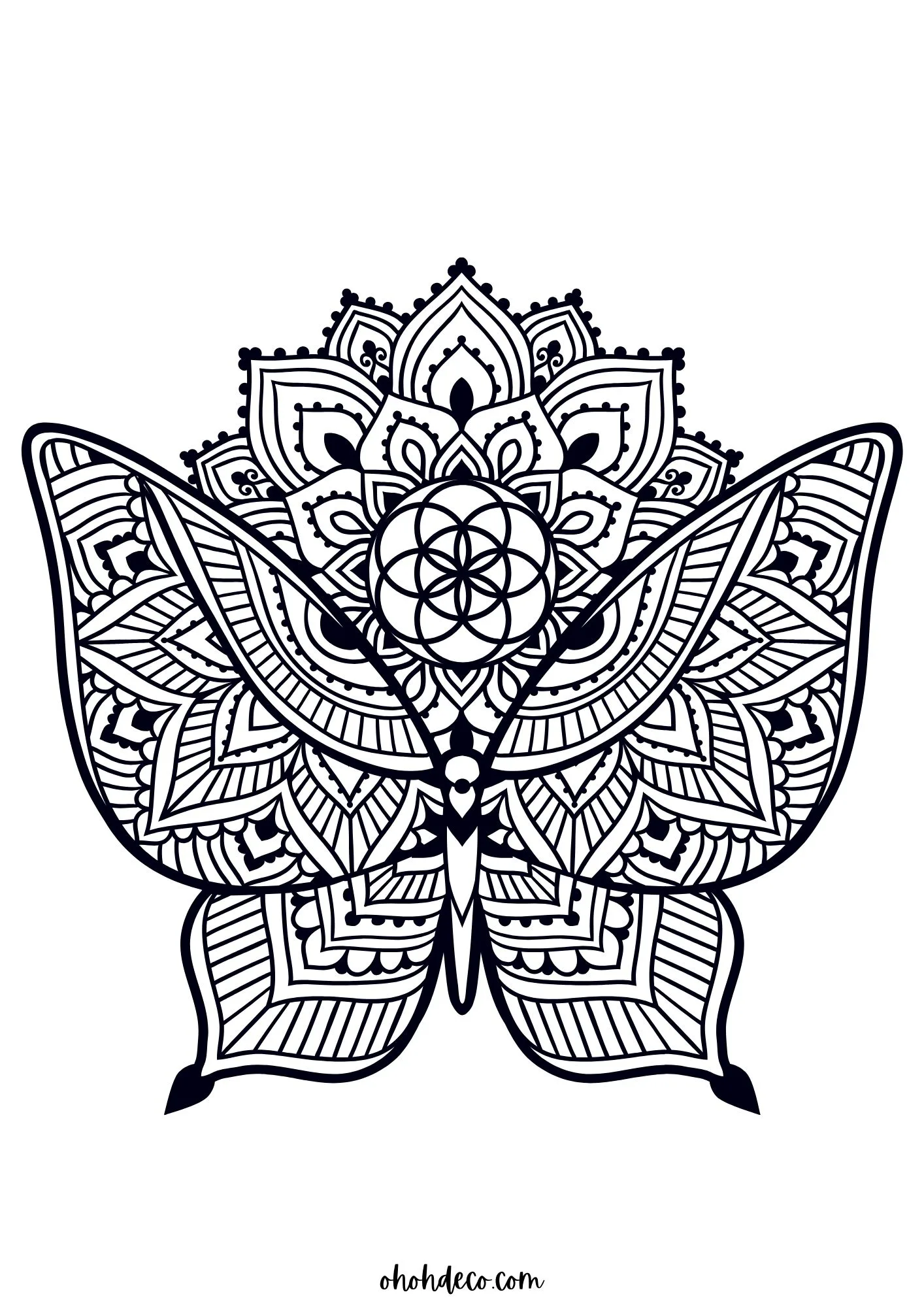 mandala color page butterfly