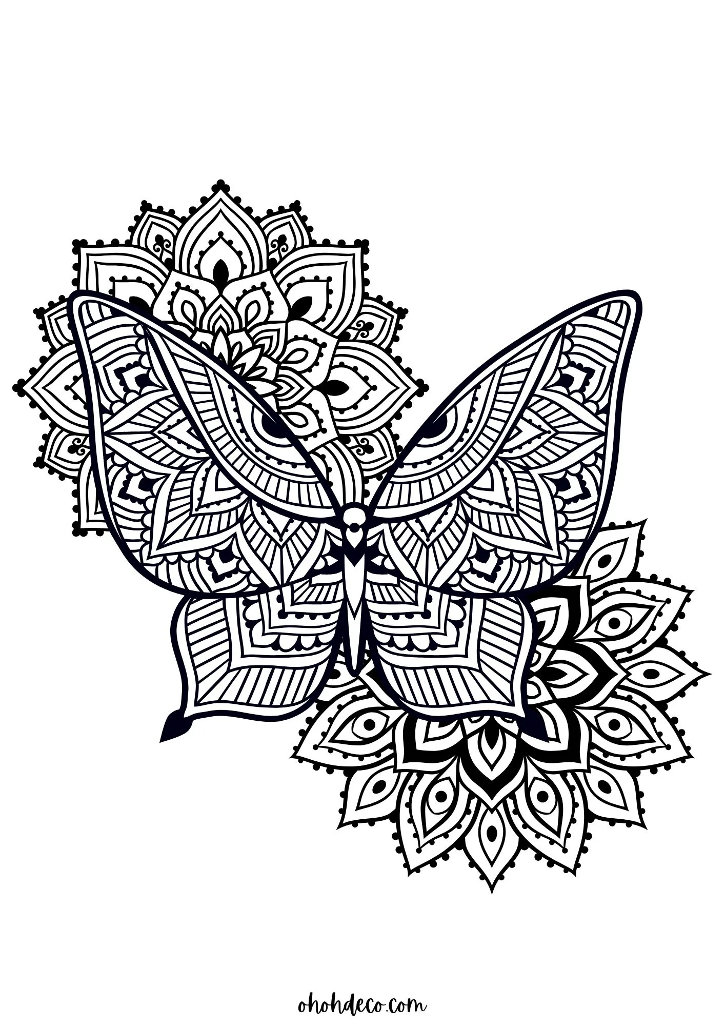 mandala color page butterfly