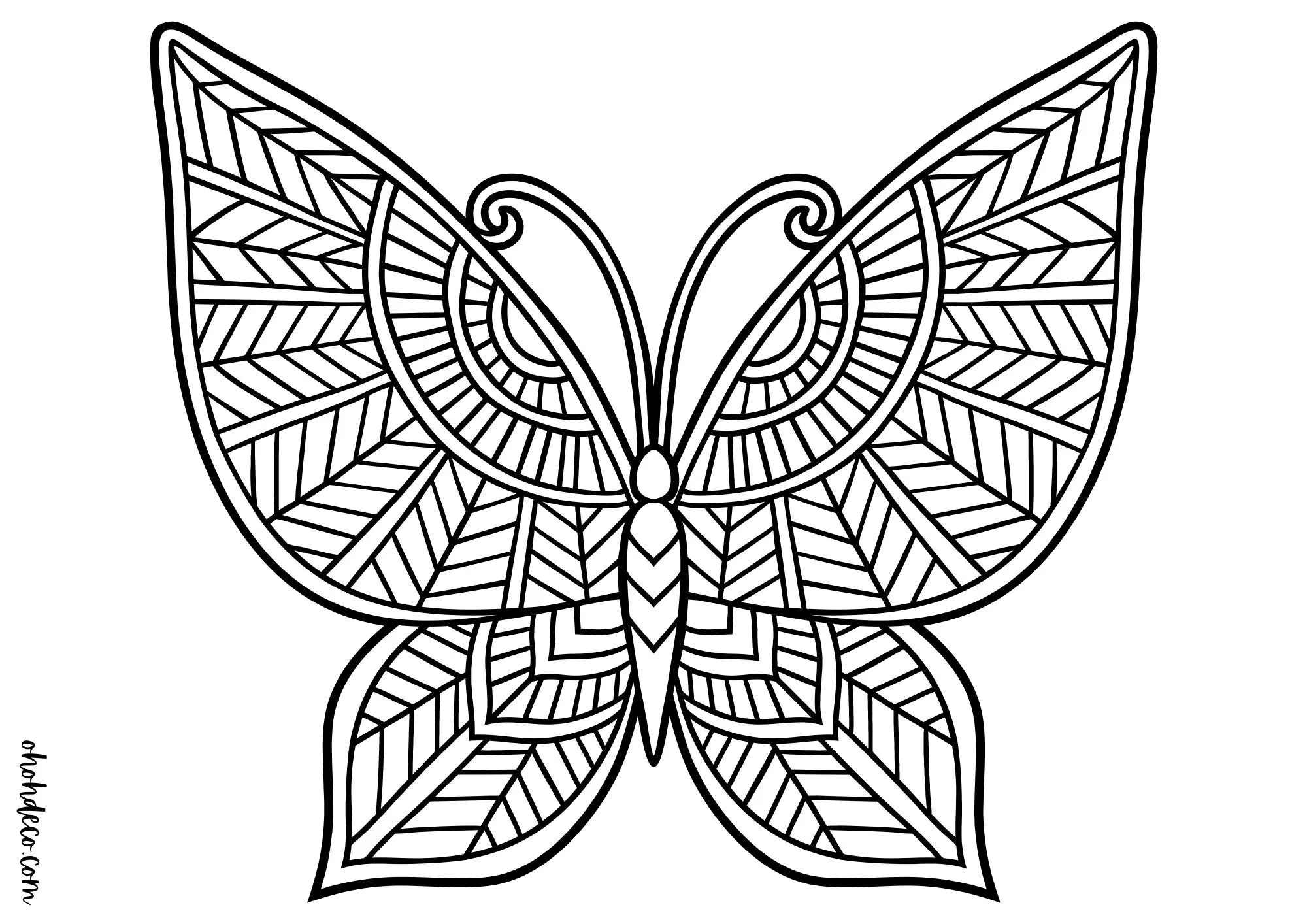 mandala color page butterfly