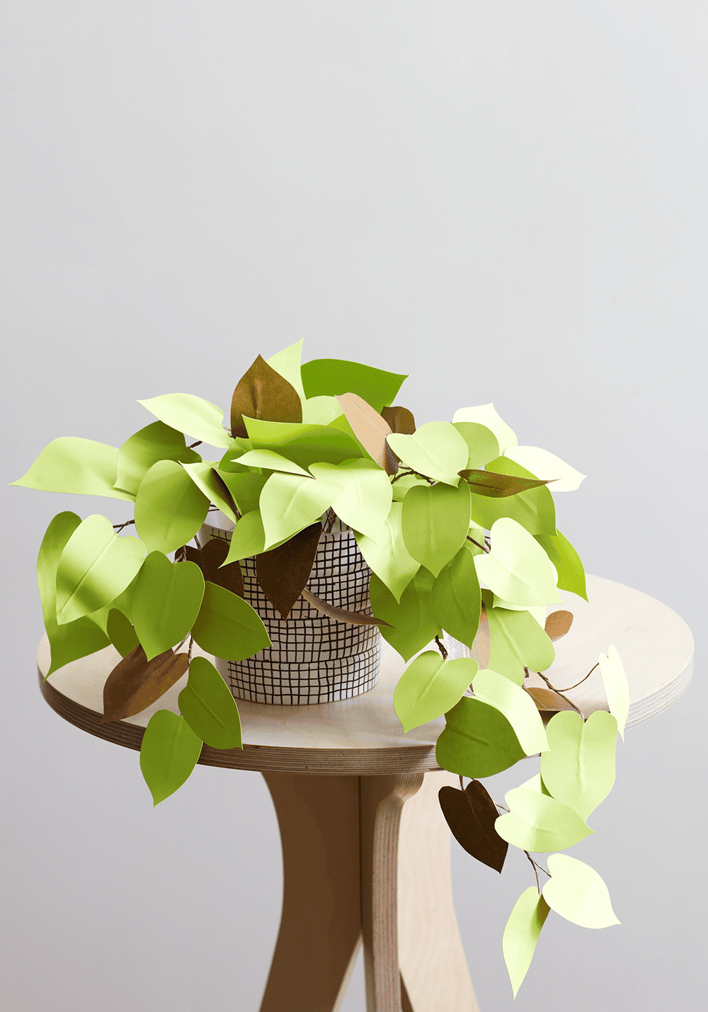 paper philodendron