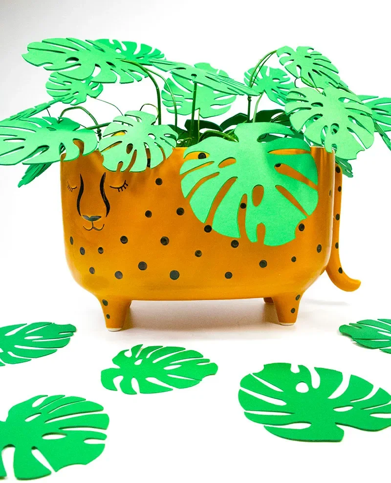 paper monstera