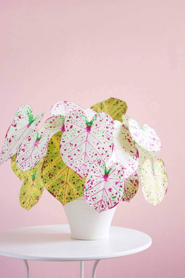 paper caladium