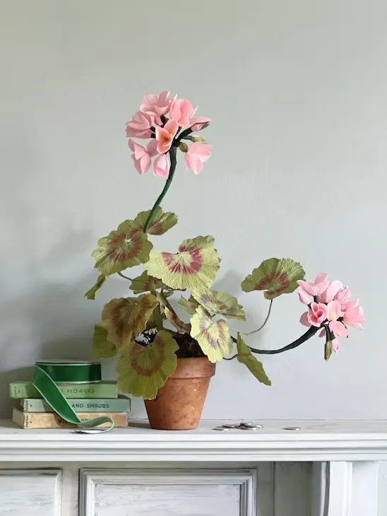 paper geranium
