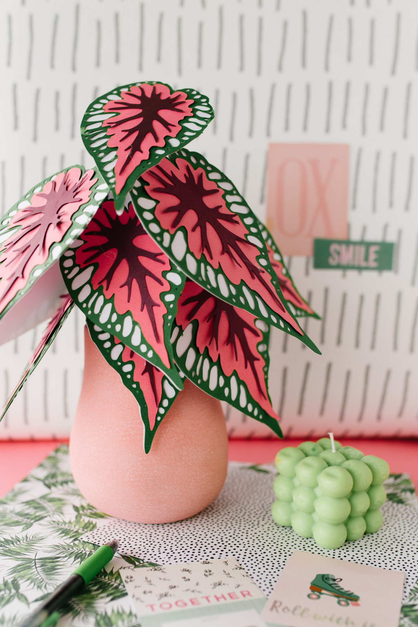 red begonia plant