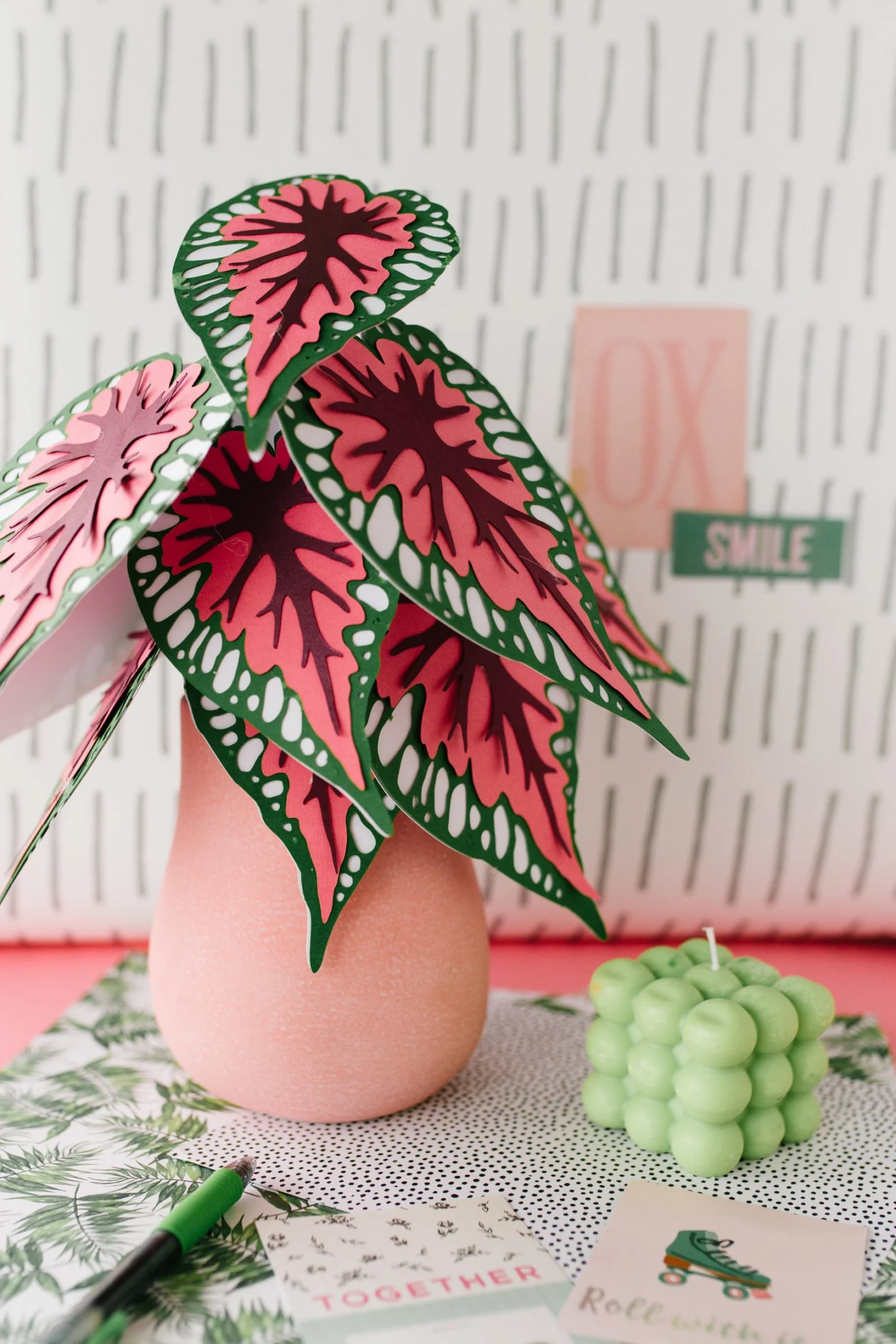 red begonia plant