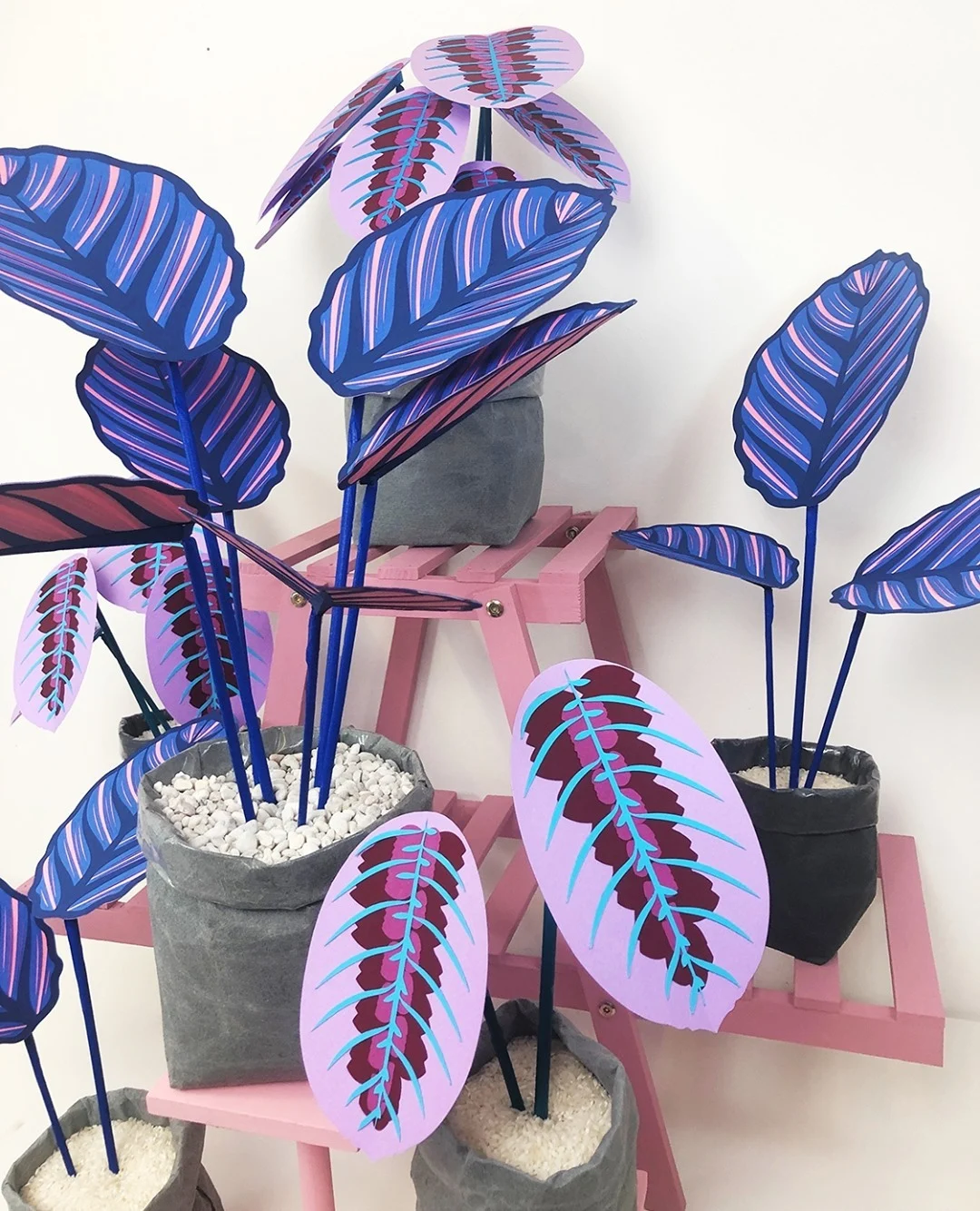 blue paper plant