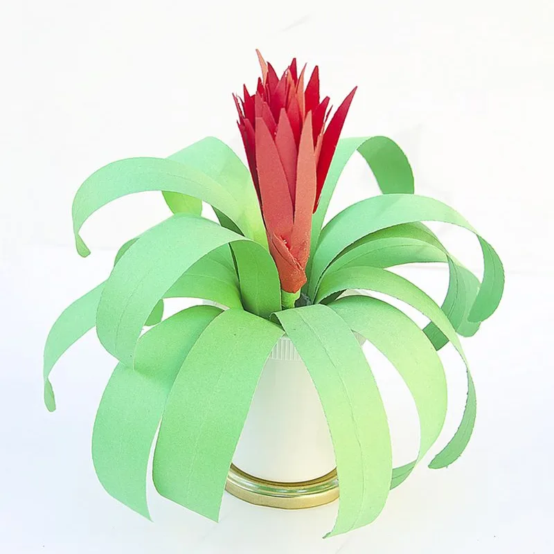 paper bromeliad