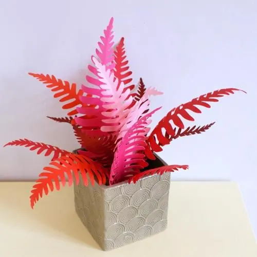 paper fern leaves