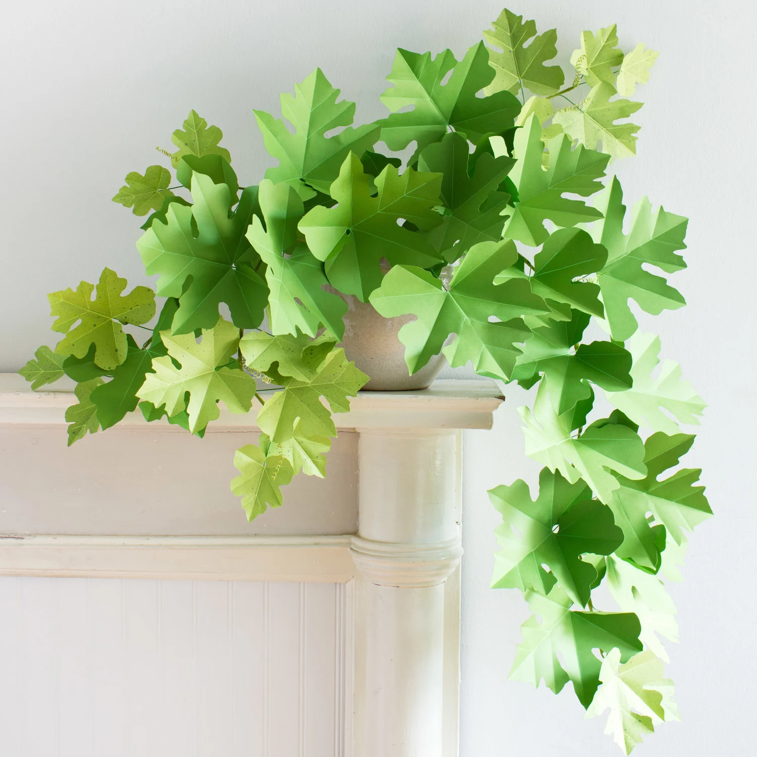 diy squash vine