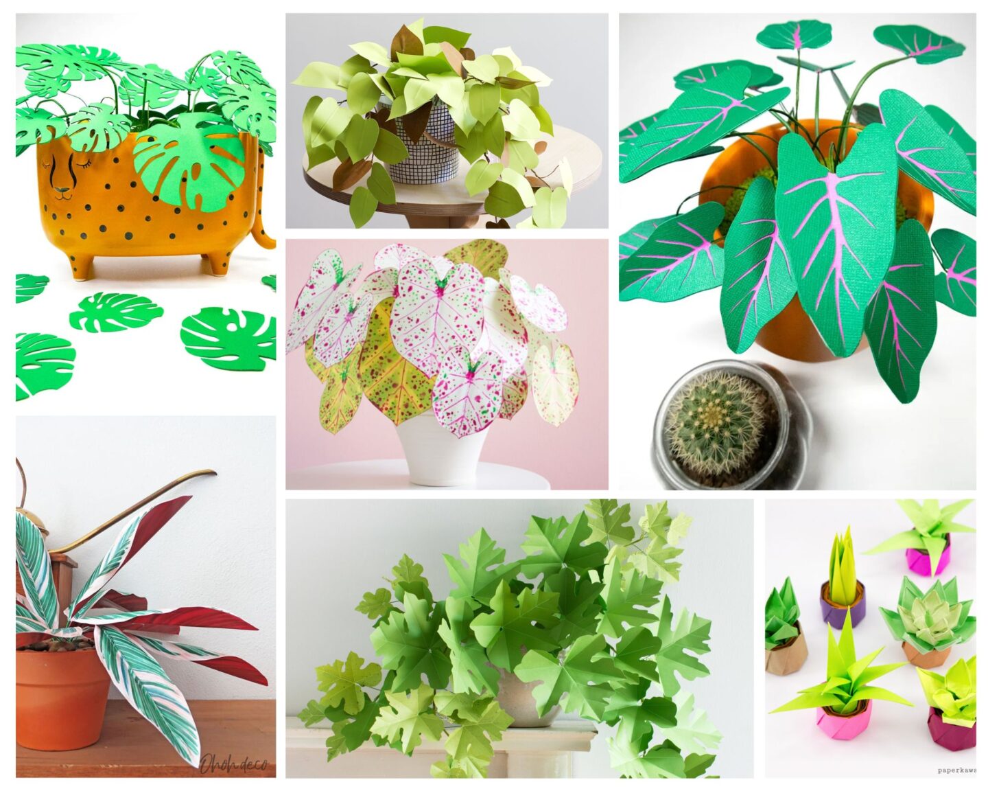 paper plant