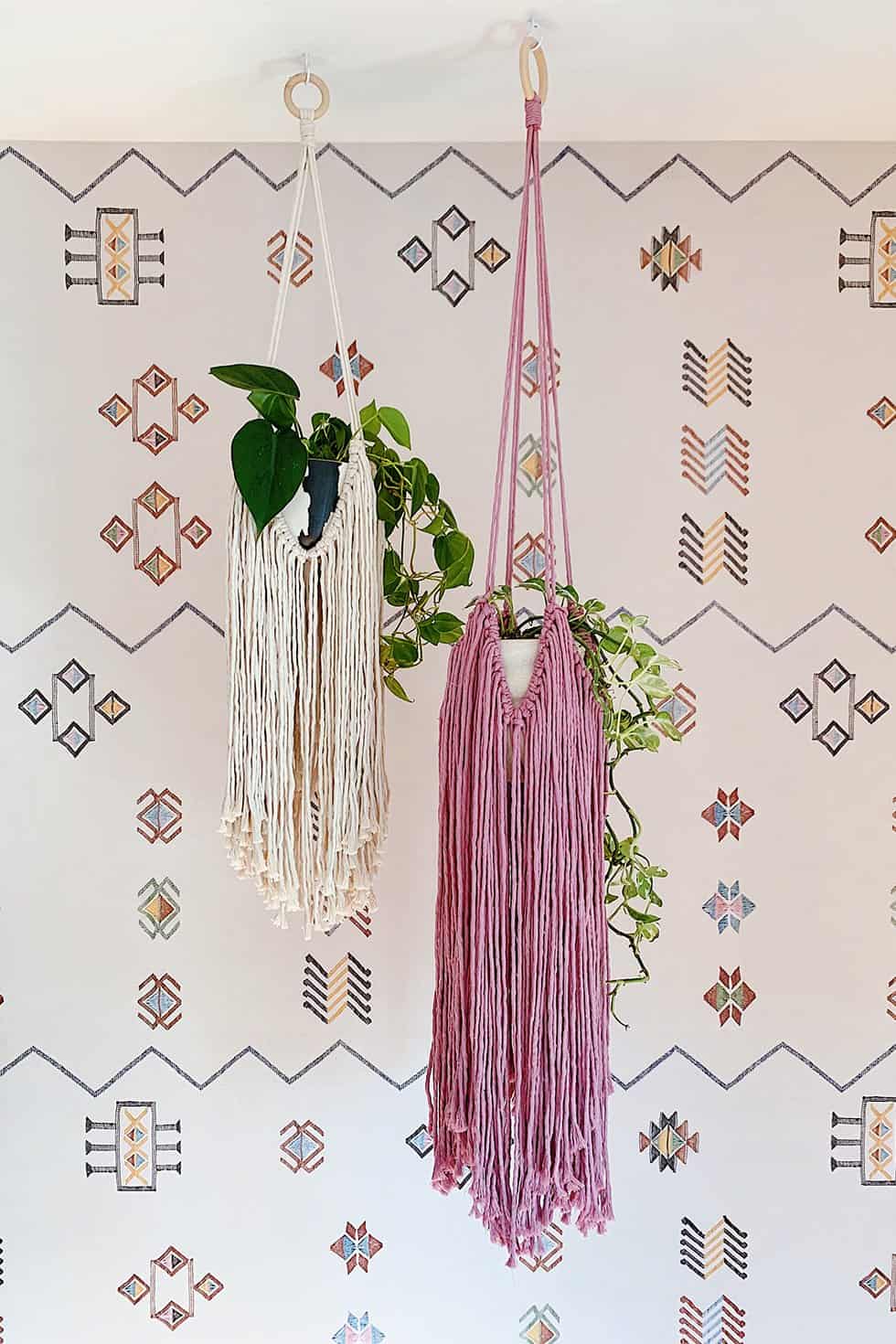 diy fringed plant holders