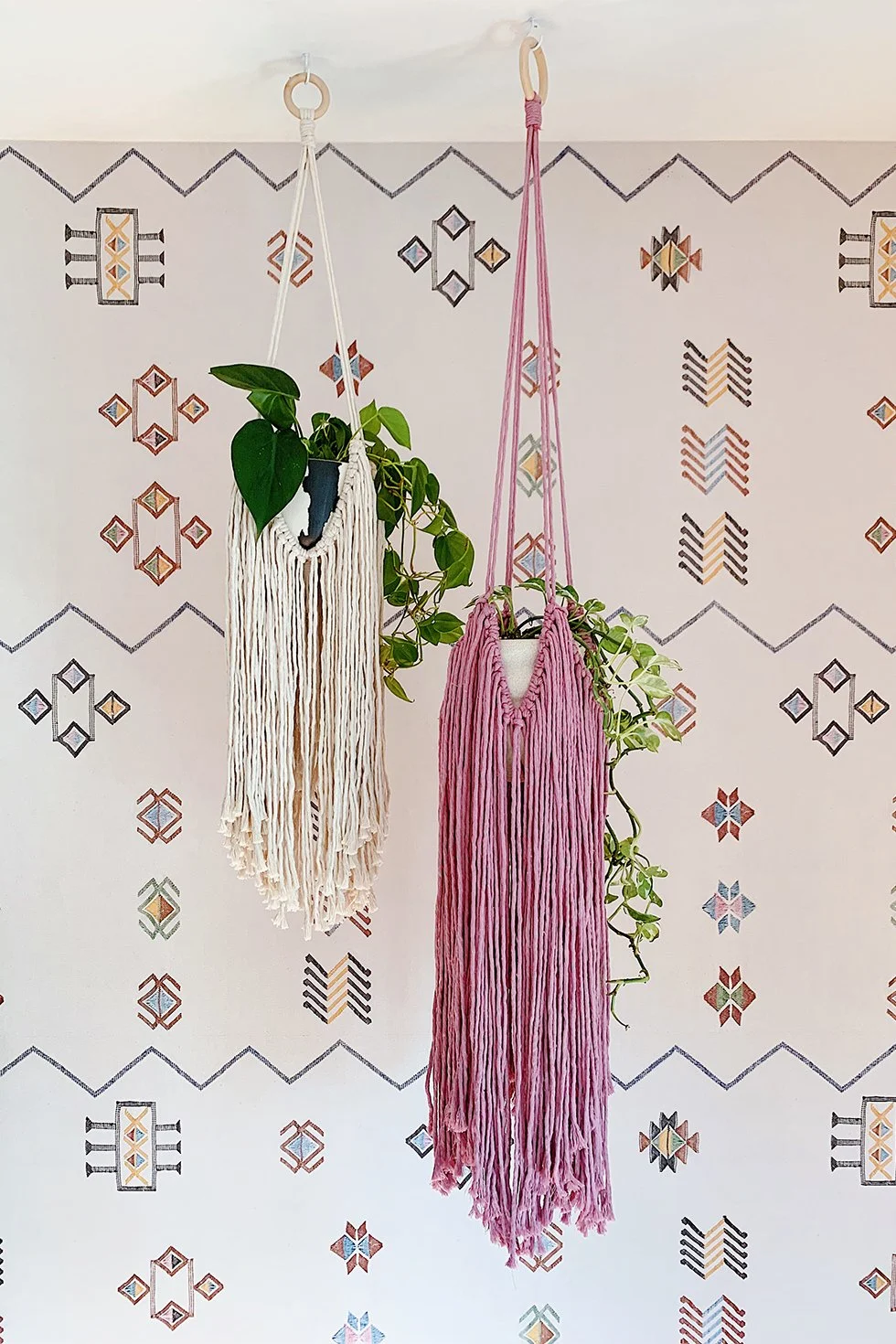 diy fringed plant holders