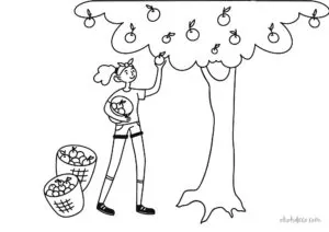 apple tree coloring page