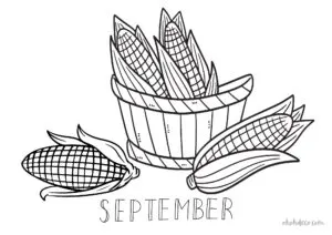september corn coloring page