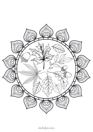 sunflower mandala