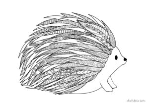 hedgehog mandala