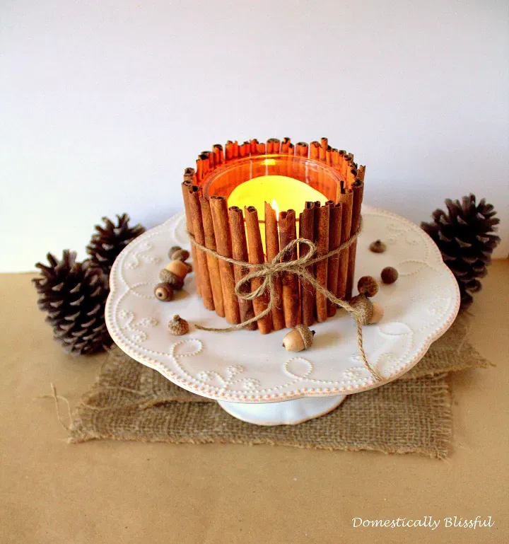 Fall Crafts for Adults cinnamon candle