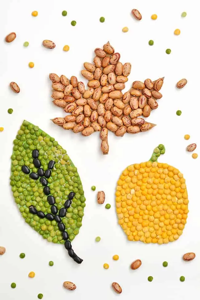 bean art easy Fall Crafts for Adults