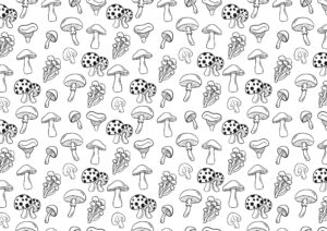 mushroom wallpaper