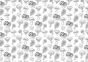 mushroom wallpaper