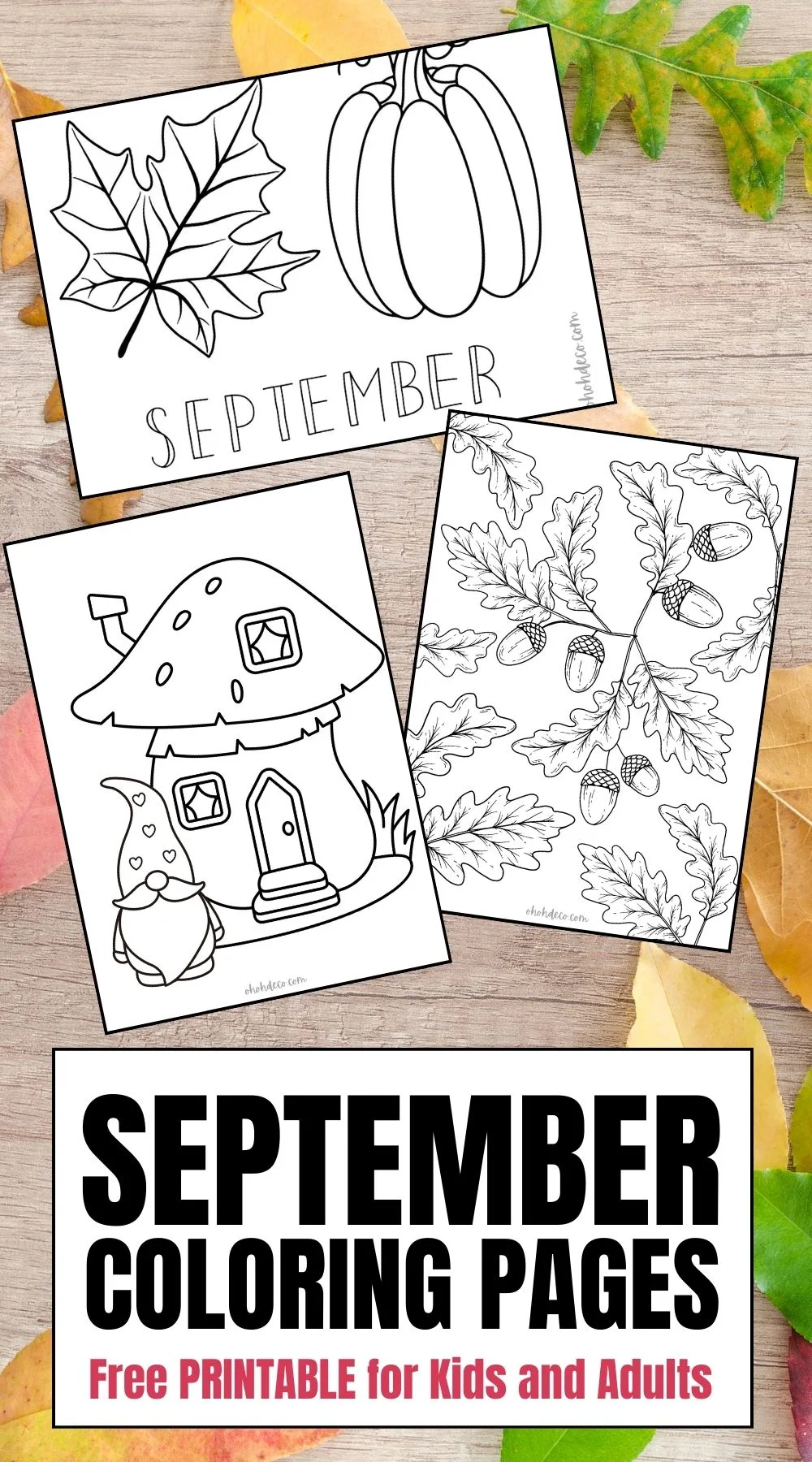 september coloring pages