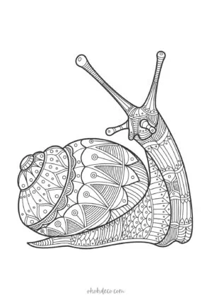 snail mandala